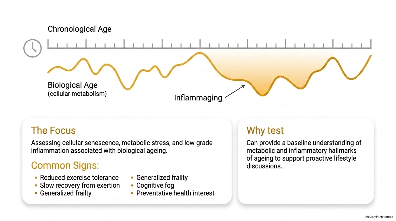 Ageing Biology Overview - Slide 18